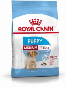 Hạt thức ăn cho chó Royal Canin