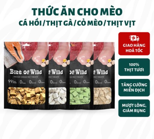 thức ăn cho mèo